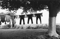 George Tice, Amish Clothes Line, Lancashire, Pennsylvania, 1966