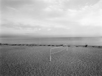 Harry Callahan, Cape Cod, 1972