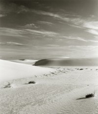 Lynn Stern, Extended Landscape, 1981