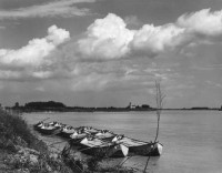 Paul Strand, River Po, Luzzarra, Italy, 1953