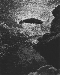 Tide Pool, Point Lobos 1945