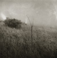 Unai San Martin, Grass in the Fog