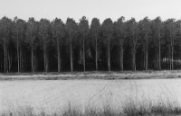 James Nicholls - Forest, Agen, France, 2000