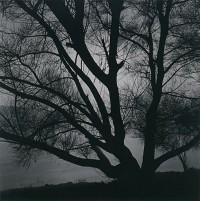 Moonlit Morning, Lake Nemi, Lazio, Italy, 2005