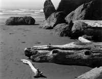 Edward Weston, Moonstone Beach, 1937