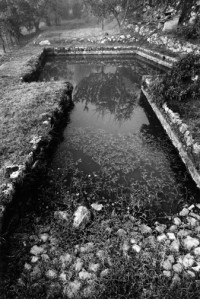 James Nicholls, Siena Stone Pond
