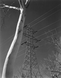 Edward Weston - Owens Valley, 1937