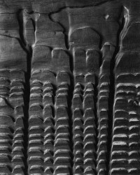 Edward Weston - Eroded Plank from Barley Sifter, 1931