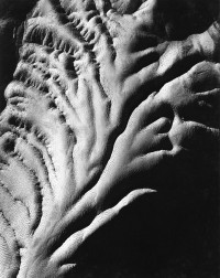 Zabriskie Point, Death Valley, California, 1954