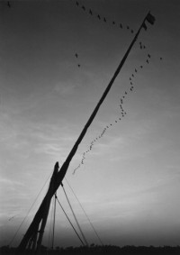 Pentti Sammallahti, Nile Egypt, 2001