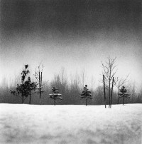 Michael Kenna, Small Trees, Anchorage, Alaska, 1989