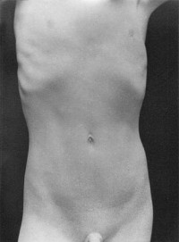 Edward Weston, Nude of Neil, 1925