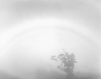 Don Worth, Tree, Mist and Pale Rainbow, Kauai, 1977
