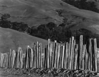 Fence, Old Road, Big Sur 1935