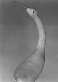 Edward Weston, Gourd, 1926