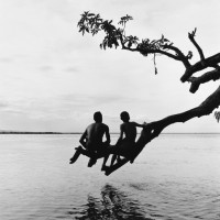 Monica Denevan, Low Branch, Burma, 2007