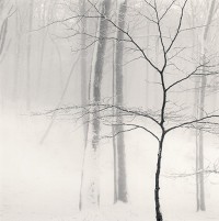Albero della Vita, Fagettota, Italy, 2005