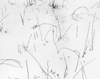 Donald Ross, Reeds and Snow, 1949