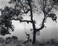 Edward Weston, Winter Idyll, 1945