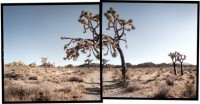 Michael Rauner, Hidden Valley, Joshua Tree National Park, 2004