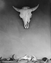 Todd Webb, Ghost Ranch, New Mexico 1960