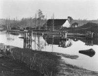 Little River, North Coast 1937