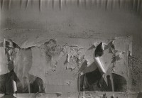 Untitled, Peeling Wall Posters, Circa 1960s