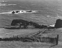 Mendocino County 1937