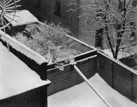 Paul Stand, Snow, Backyard, New York, 1914