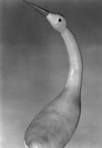 Swan Gourd 1924