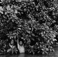 Submerged Banyan, Burma, 2009