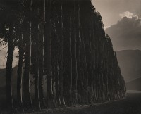 Johan Hagemeyer - A Pictorial Interpretation