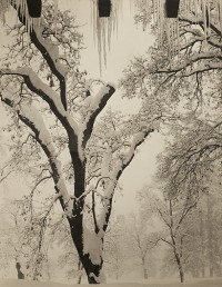 Ansel Adams, Icicles, Ahwahnee Hotel, Yosemite National Park, California, circa 1934