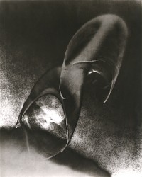 Untitled, Circa 1950-1960