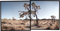 Michael Rauner, Hidden Valley, Joshua Tree National Park, California, 2004