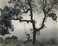 Edward Weston, Winter Idyll, 1945