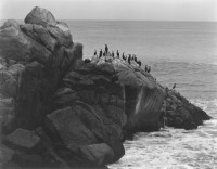 Seal Rocks 1937