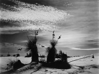 Brett Weston, White Sands, New Mexico 1947