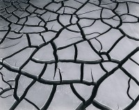 Donald Ross, Mud Cracks, Death Valley, 1966