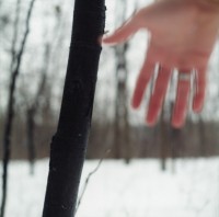 Peter Haakon Thompson, Untitled, (My Hand in the Woods, Plymouth, MN, December, 1992)