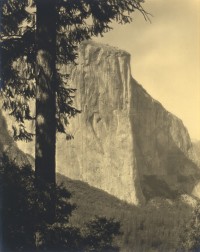 John Paul Edwards, Untitled, Yosemite, circa 1920