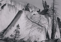 Philip Hyde, Dead Pine And Shadow On Granite Formation, Tuolumne Meadow