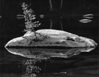 Brett Weston, Pond, High Sierra, 1971