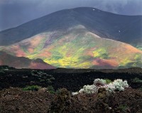 Philip Hyde, Lava Flowers, Craters Of The Moon National Monument, Idaho, 1983