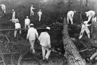 Danny Lyon - Clearing Land, from Conversations With the Dead, 1968