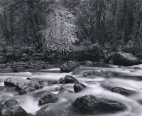 John Sexton, Merced River And Forest, Yosemite Valley, California, 1983