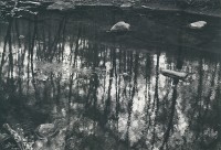 Paul Caponigro, Merced River, Yosemite, California, 1974