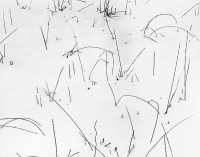 Don Ross, Grasses in Snow, 1948