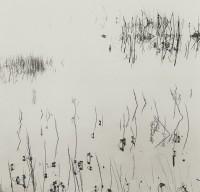 Ryuijie, Reeds, 2005