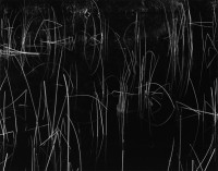 Brett Weston, Reeds, Oregon, 1975